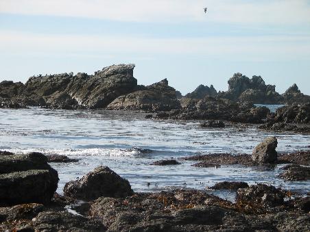 Lizard Point
