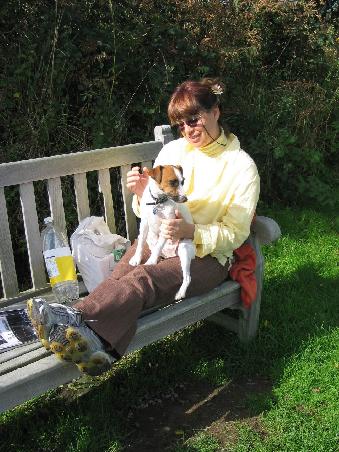 Chysauster, Viola mit Hund