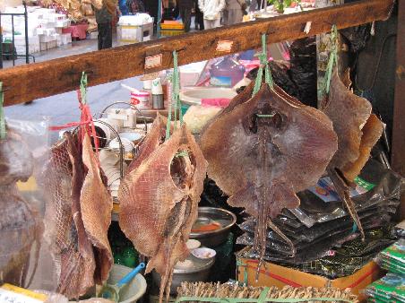 Dieser Fisch spricht uns weniger an