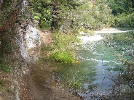 Attention - high tide!