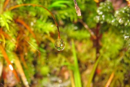 Raindrops keep fallin' ...
