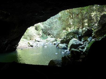 Natural Arche