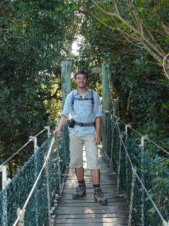 Auf dem Tree-Top-Walk