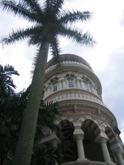 Palmen sogar in der Stadt