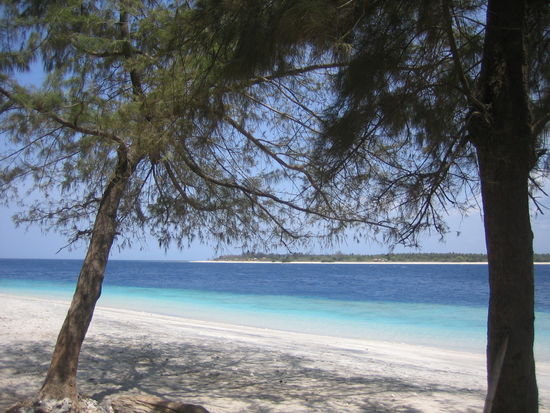 Welcome to my Paradise