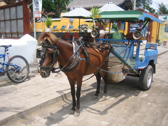 Transportmittel Pferdekutsche