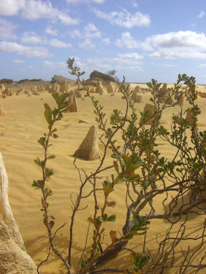 Sonne, Sand und Stille