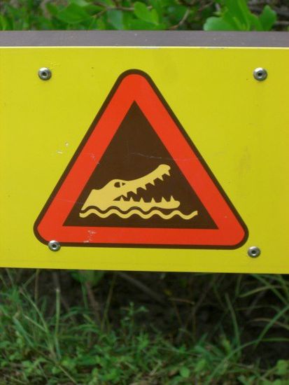 überall böse Krokodile