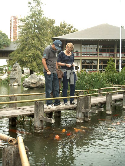 "Wie hoch können sie wohl springen???"