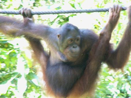 Hang on, baby...!!