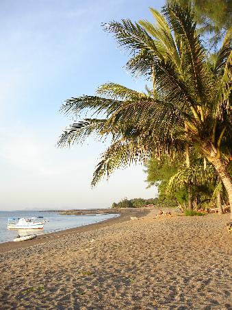Strand von Waiara