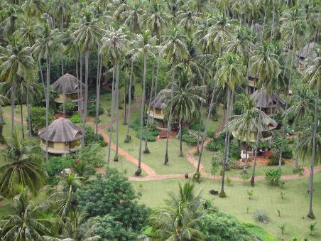 Viewpoint