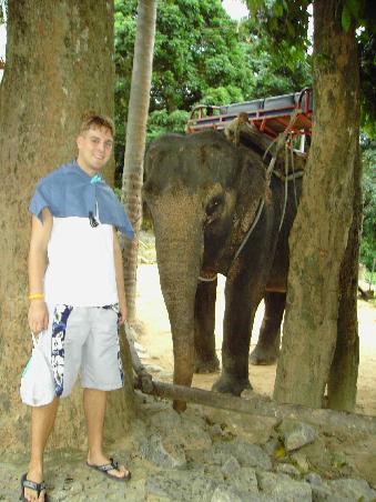 Elefant am Namuang 2 Waterfall