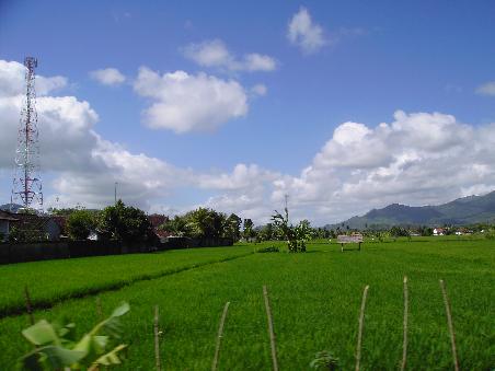 Bali Inland