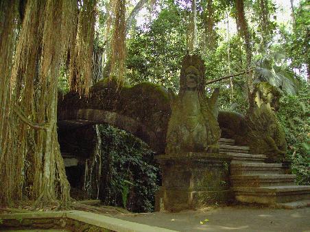 Ubud Affenwald