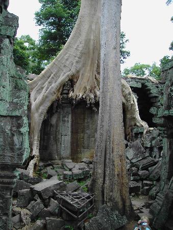 Ta Prohm