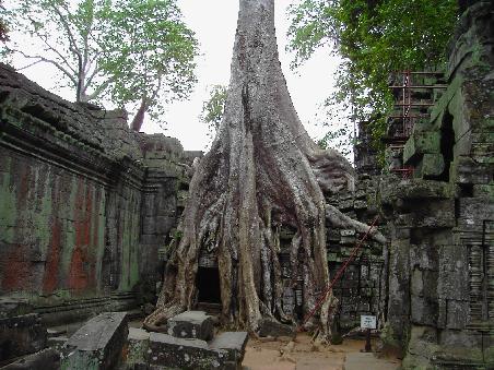 Ta Prohm
