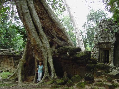 Ta Prohm