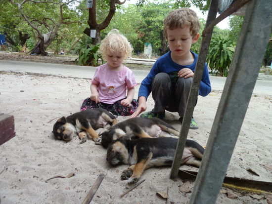 Da mussten wir einfach anhalten