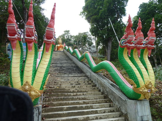 Vorsicht, die sind bissig!!