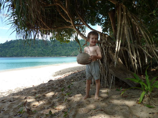 Wer hat die Kokosnuss geklaut....