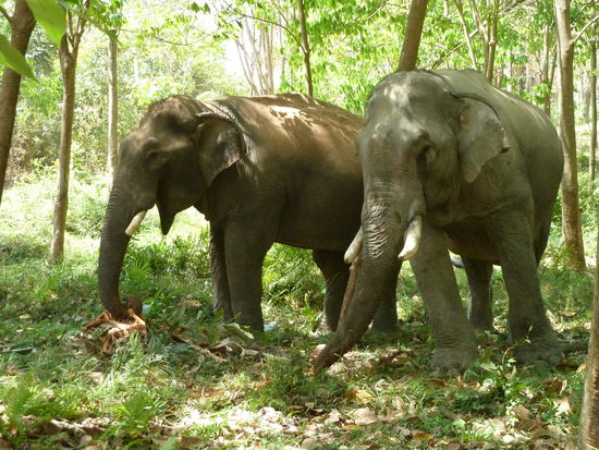 Die beiden haben sich ihre Mittagspause verdient