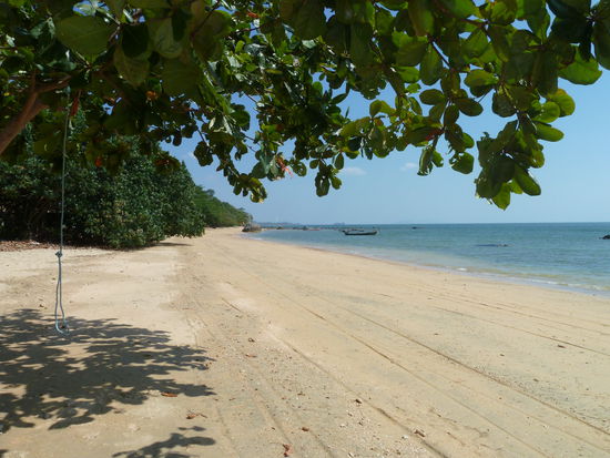 Hat Luboa ganz im Norden.