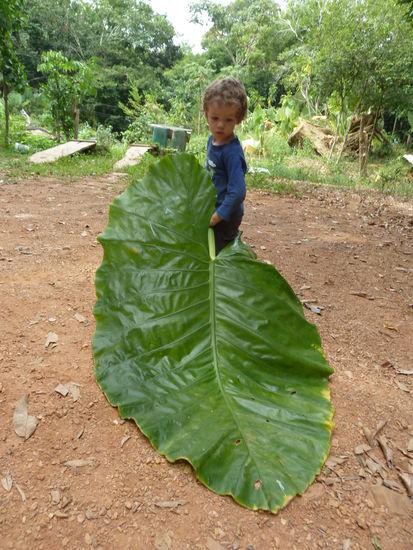 Wer ist hier grösser?