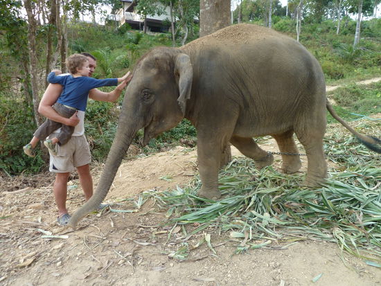 Streicheleinheiten für den Babyelefant