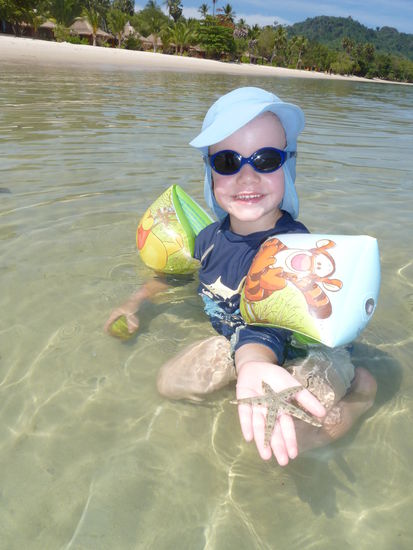 Seesterne waren bei Ebbe zu finden.