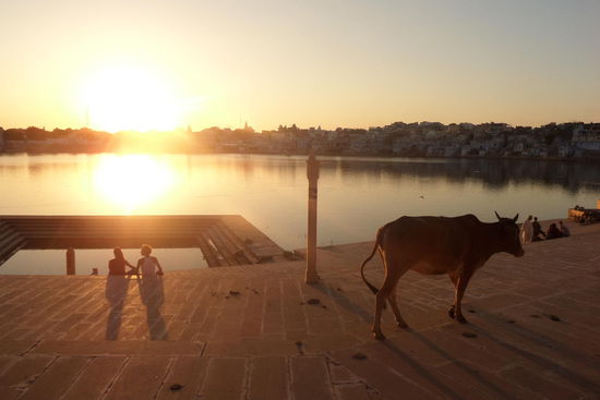 Kleine Spoiler: Pushkar bei Sonnenuntergang 