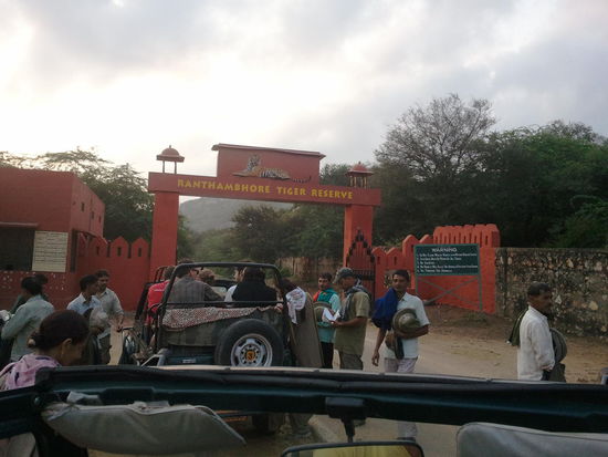 Morgens halb sieben im Nationalpark...