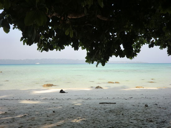 ich will hier nicht weg!