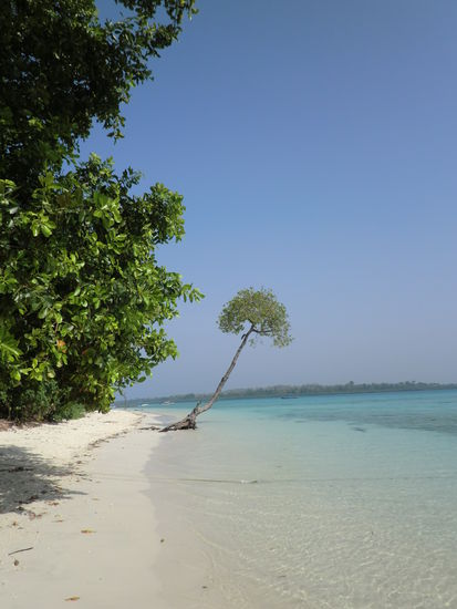 Strand, Strand und keine Leute