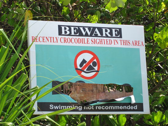 das Bild des Krokodieles brauchte wohl jemand 