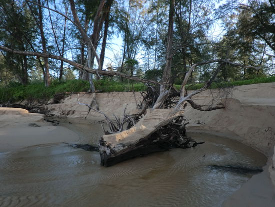 abgespülter Strand, auf unserer Wanderung