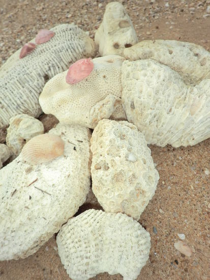 Schatzsuche mit Erfolg