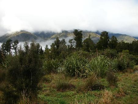Die Natur praesentiert sich an jeder Ecke als "Frodo-Land", alles erinert an Herr der Ringe.