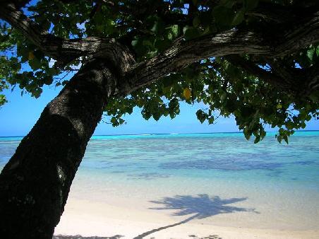 MEIN STRAND - Paradis gefunden?