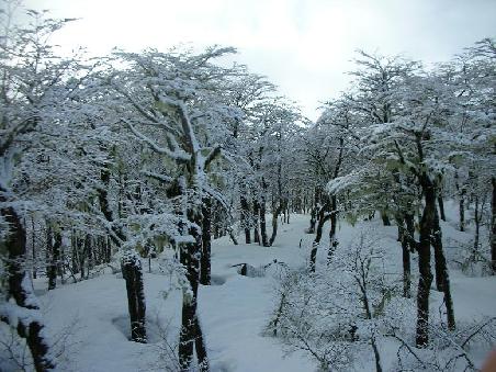 Schoene Lanschaften, viel Schnee und noch schoenes Wetter.
