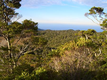 Nach 3 Tagen biege ich auf den Abel Tasman Inland Track 42 km ab. Der ebenfalls 3 Tage dauert und die meiste Zeit im Regenwald verläuft.