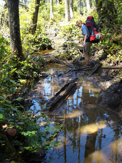 Allerdings erreichen die Sonnenstrahlen den Boden des dichten Regenwaldes wohl nie und so bleiben die Wege immer schlammig.