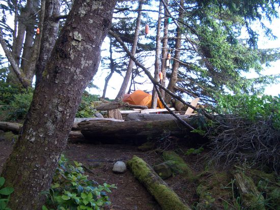 Unser letzter Schlafplatz auf dem West Coast Trail
