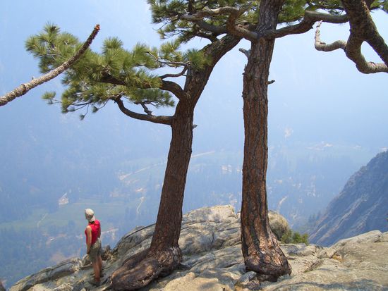 Und wieder geht es mit Rucksack und Zelt in die Wildnis