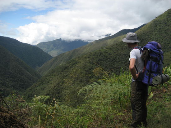 Das Klima und die Vegetation werden tropischer.