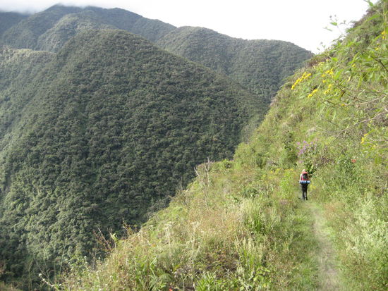 Bunte Blumen und Schmetterlinge begleiten unseren Weg (Bettina und Isa).
