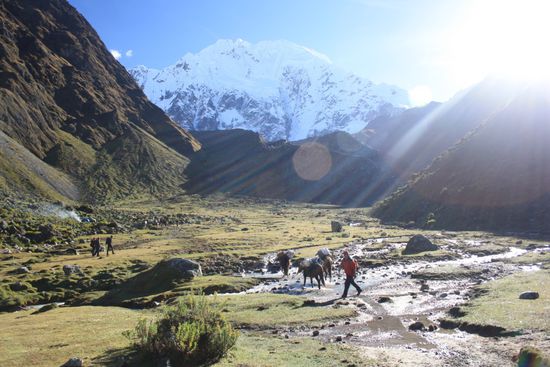 Am 2. Tag wandern wir Richtung Salkantay. Dieser Tag ist mit 8 Stunden Gehzeit der haerteste Tag.