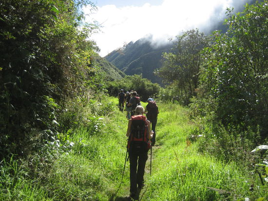 Am 3. Tag veraendert sich die Vegetation schlagartig und der Rest des Trails fuehrt uns durch Urwald.