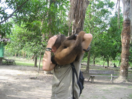 Peter kaempft mit Affen.