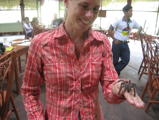 Bettina freundet sich mit einer Tarantel an.